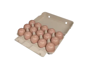 15-EGG BOX(3*5)